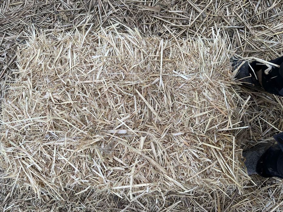 Саван пресс сатылады