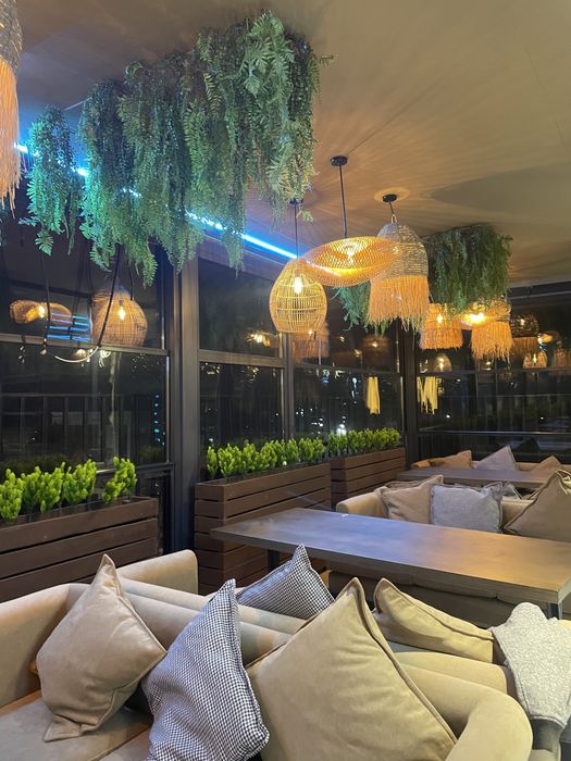 Декор стен зеленью Интерьерное озеленение