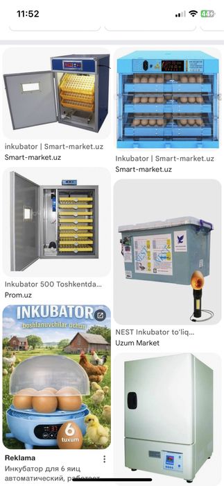 Inkubator boshqarish