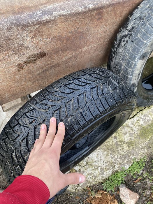 Пакришка зор 1 ай болды