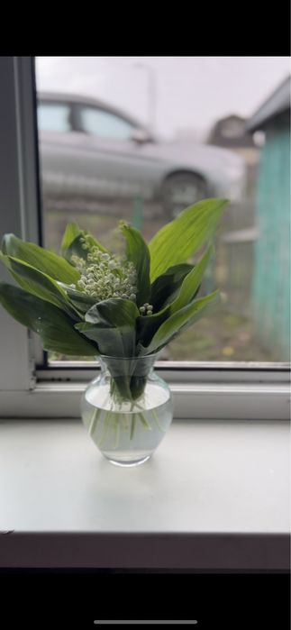 Уютный Частный дом