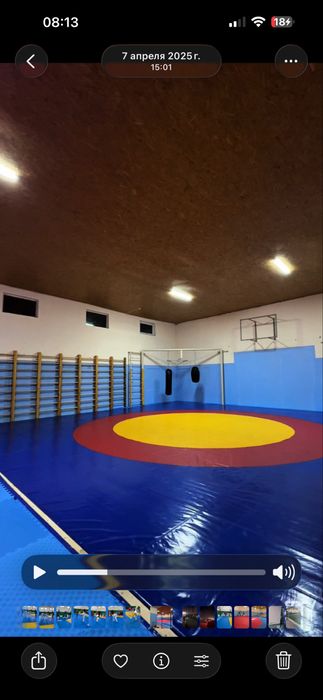 Ковер маты для барьбы