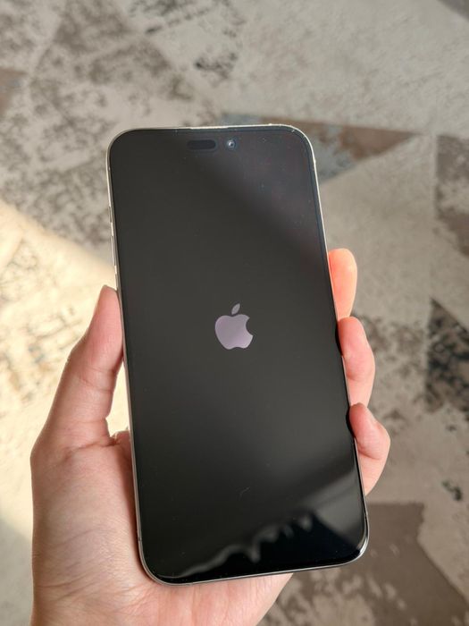 iPhone 15 pro max 256 gb