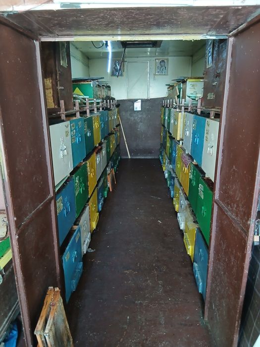 Vand pavilion / camion apicol