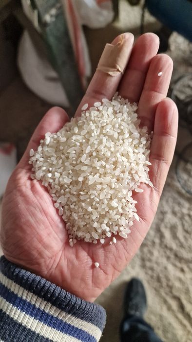 СечкаКүрішКүрмек