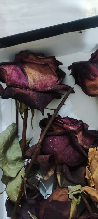 Куриган гуллар смола учун