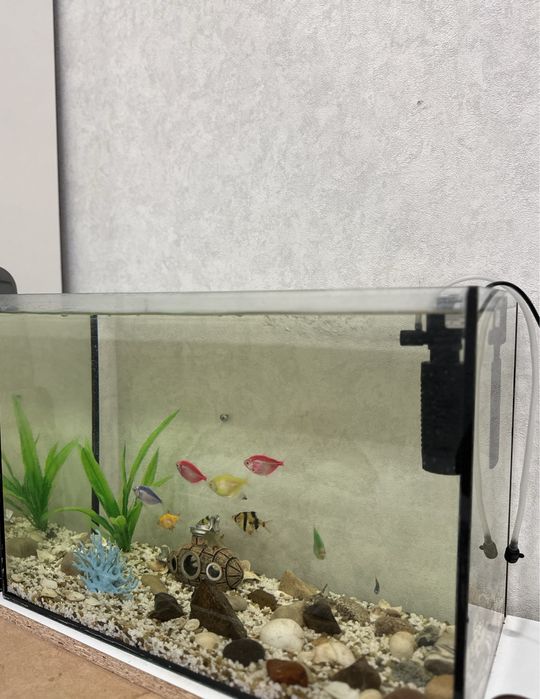 Продам аквариум с рыбками