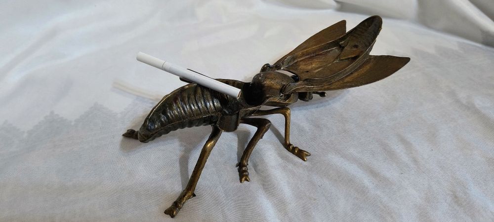 Голяма бронзова муха - пепелник