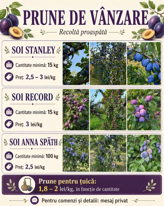 Prune de vânzare