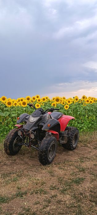 Vand sau schimb cu ceva mai mare(diferenta de la mine) ATV SMC barossa 250cc- 2 cilindri manual