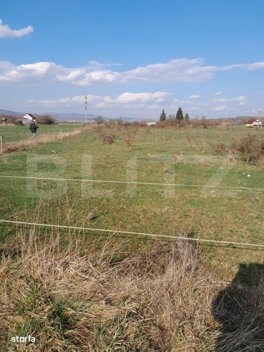 Teren intravilan 5000 mp, investitie intr-o zona in dezvoltare