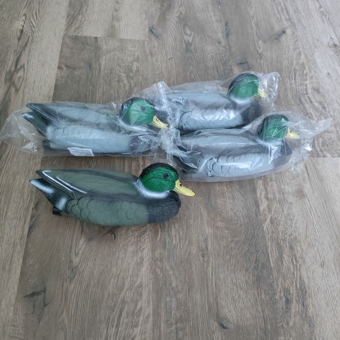 Плаваща патица мюре