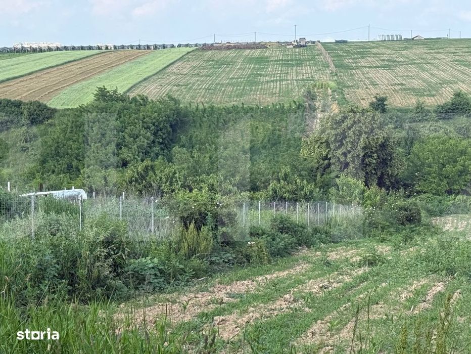 Teren intravilan, 1524mp, Manastirea Doamnei- Botosani