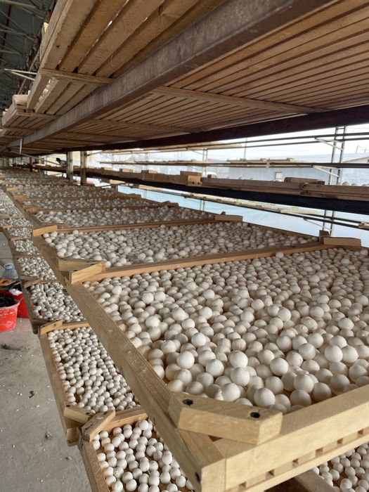 100% ishimizga javob beramiz