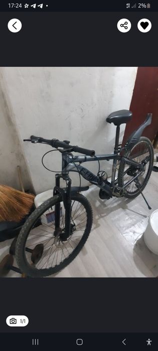 Роза Караччило порно видеолар