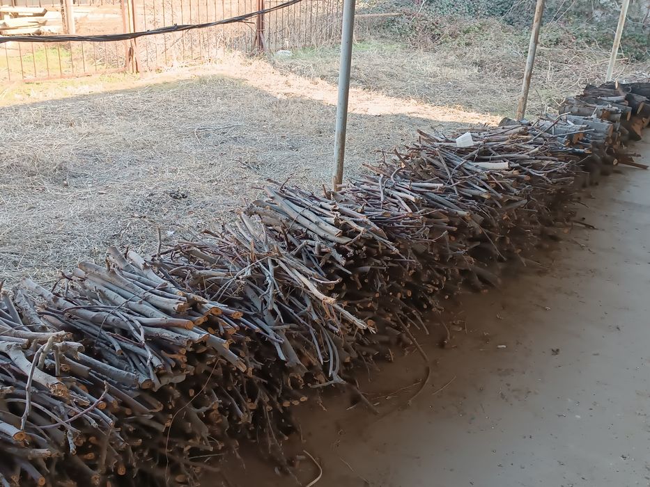 Утин дрова фруктовый, Янгиюль