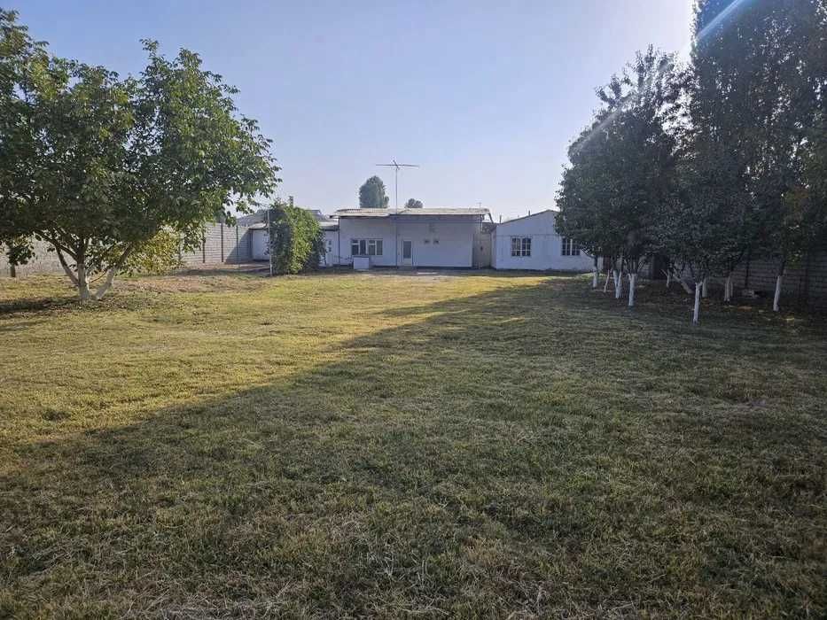 Земля, участок, дом, коттедж 50 соток