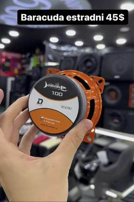 Эстрадные динамики 10см DL AUDIO BARRACUDA 10см DL AUDIO PIRANHA AMP