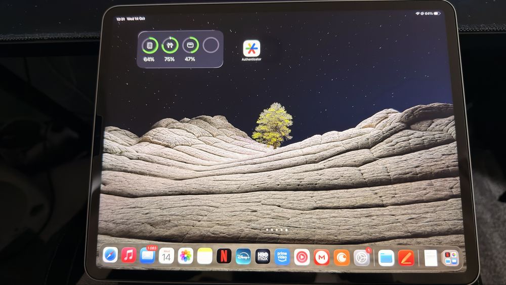 iPad pro 12.9 M1