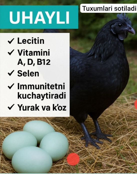 Juda chiroyli yosh qiz bilan jinsiy aloqa porno