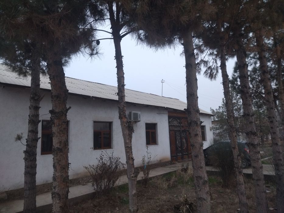 Uy sotiladi  Avrora pasyolkada joylashgan