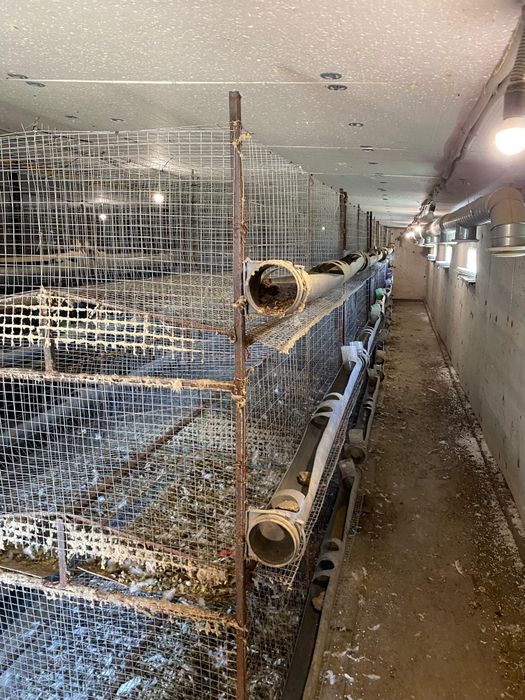 Продам клетки для курей на 2000 голов