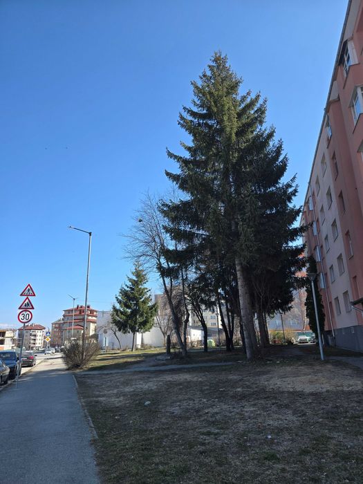 Давам под наем апартамент гр.Самоков