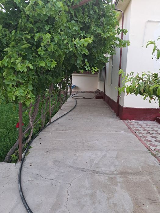 Кармана тумани варк 1да 4 хона 6 сутих кушимча ер бор