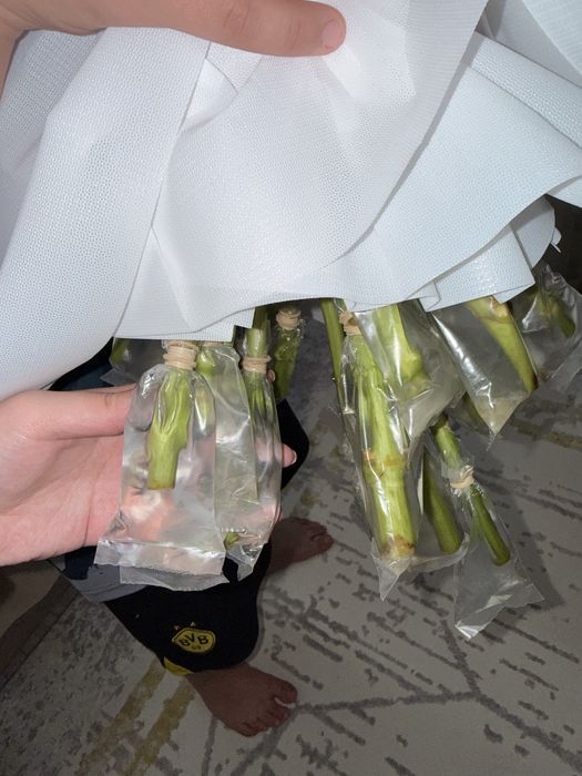 Нежный букет гортензий