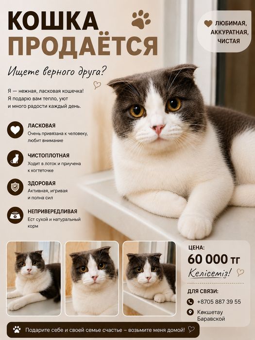 Кошка Продается 4⁵месец