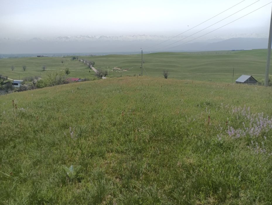 Продам участок в поселке Турар