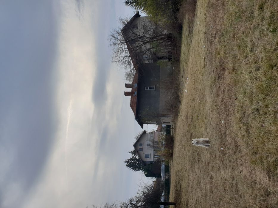 Продава се Къща в с. Опицвет, Област София-област - 60 кв.м за 2834 €/кв.м - Снимка #4