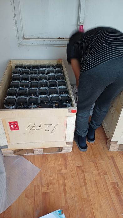 Arwndaga bolib tolashga Monster akumulyator Dorongo akmulyator 60x30