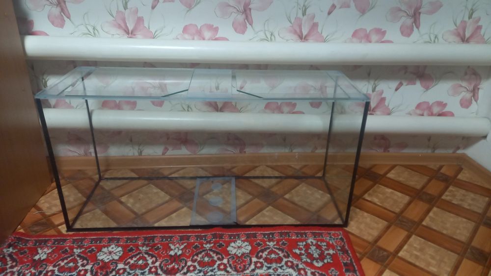 Продам рыбок  разные  красивые