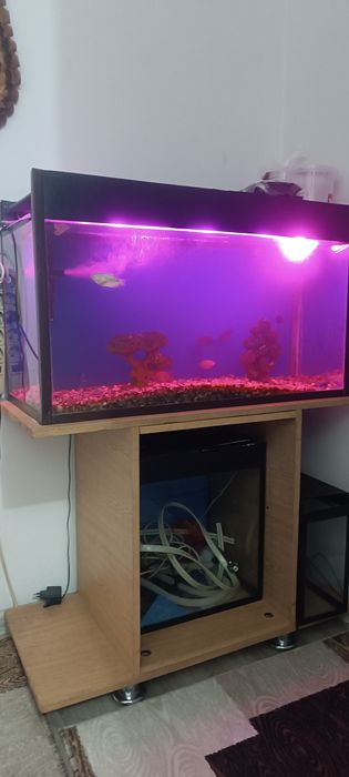 Аквариум сотилади