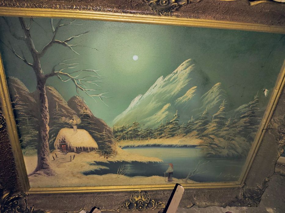 Pictura panza, 60x50 cm aprox.