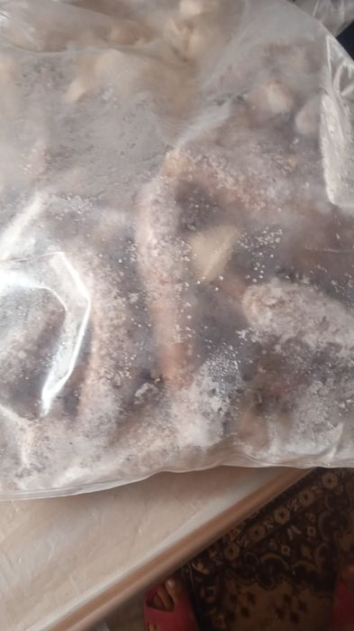 Продам корм для собак