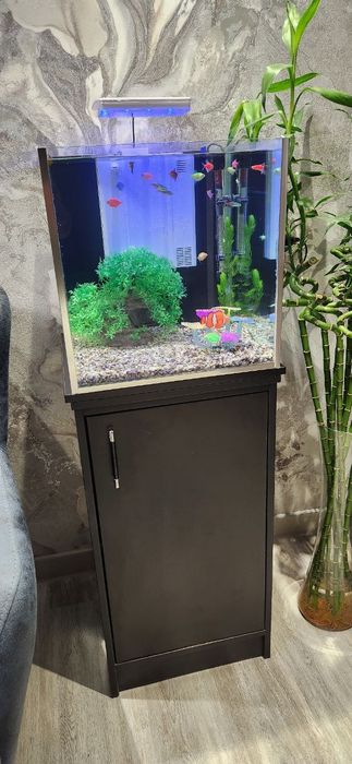 Аквариум на заказ и в наличии