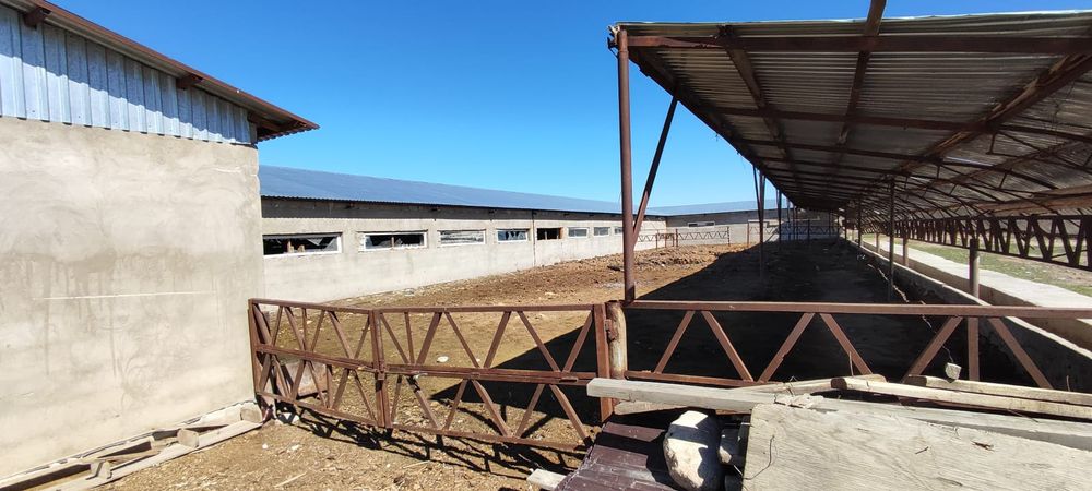 Фазенда с земельнцм участком