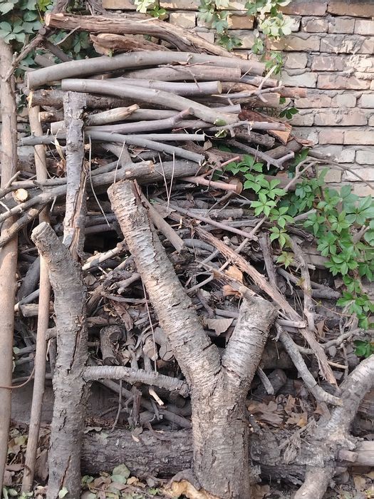 дрова из фруктовых деревьев-черешня,вишня,слива,орех  в объеме 2 куба