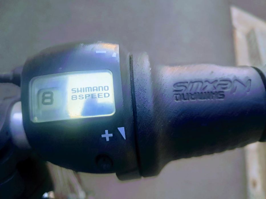 Bicicletă electrică Flyer