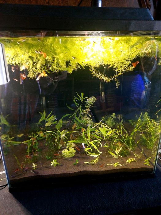 Аквариум 125 литров