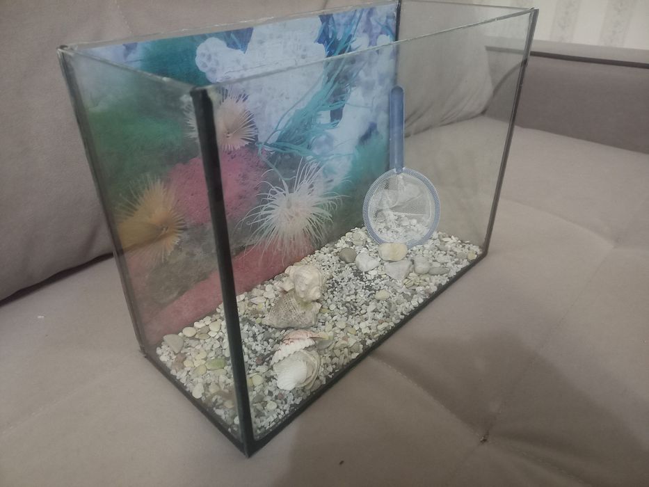 Продам  аквариум 10л