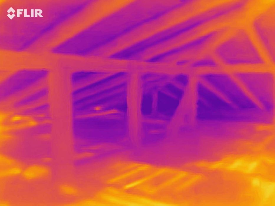 Termoviziune, termoscanare, termografie imobile şi instalaţii