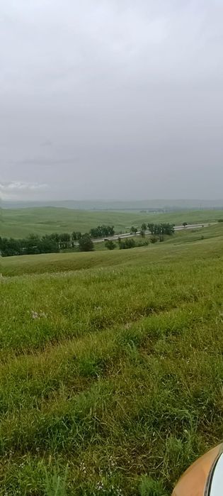 Земля 12 га в узынагаш