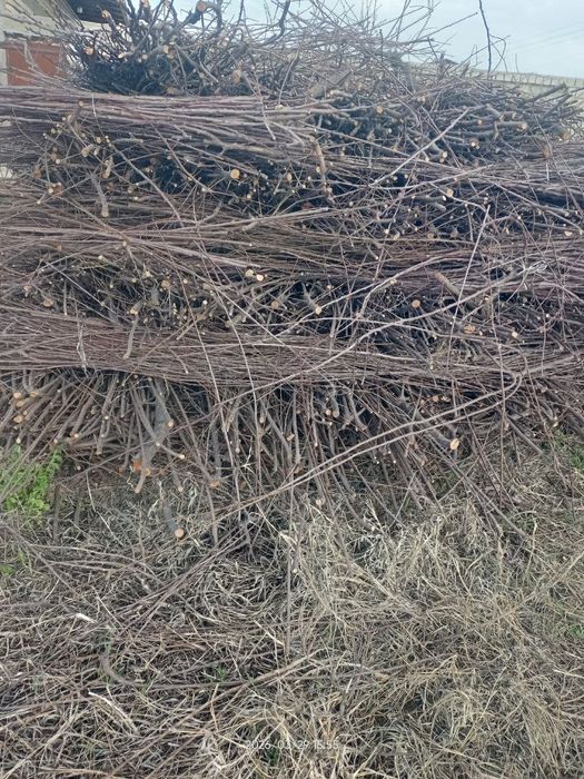 O'tin sotiladi vog'langan