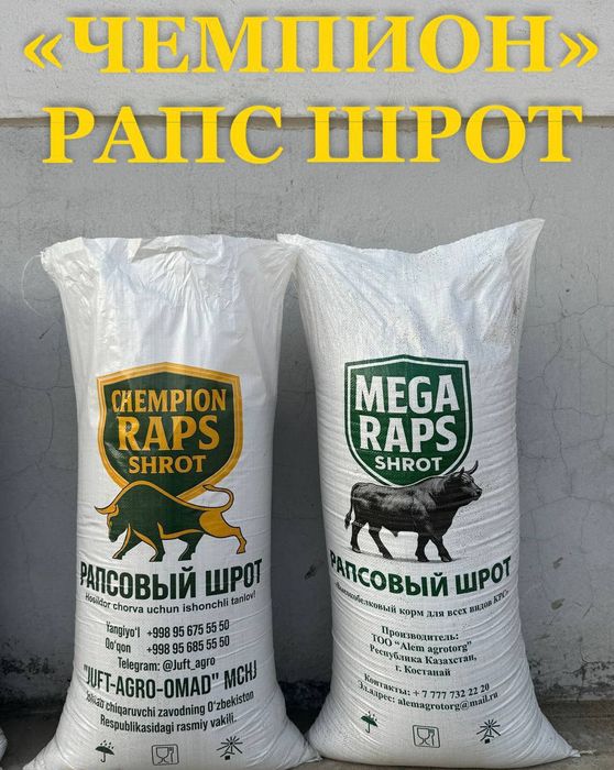 Raps shiroti sifatli