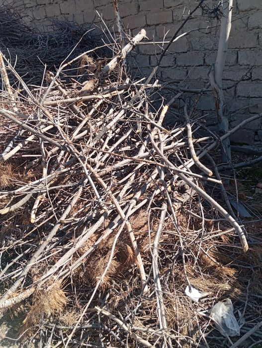 Утин тезда сотилади