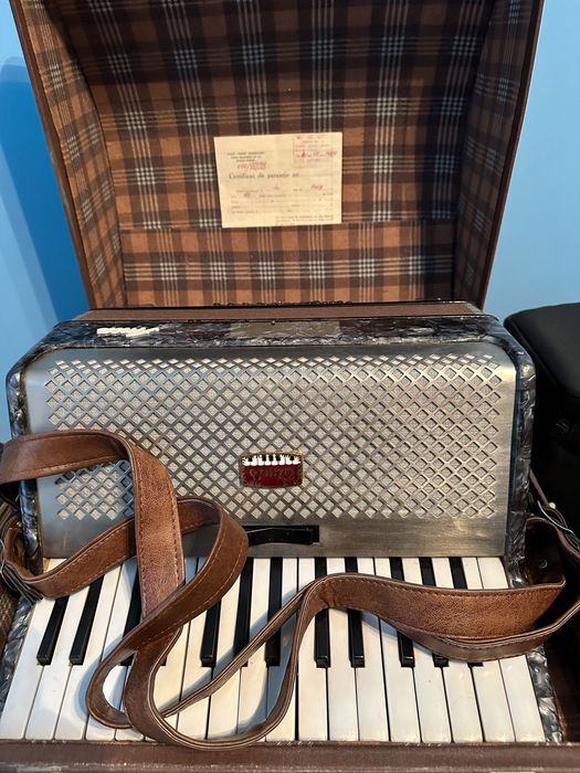 Acordeon (11 bucăți)