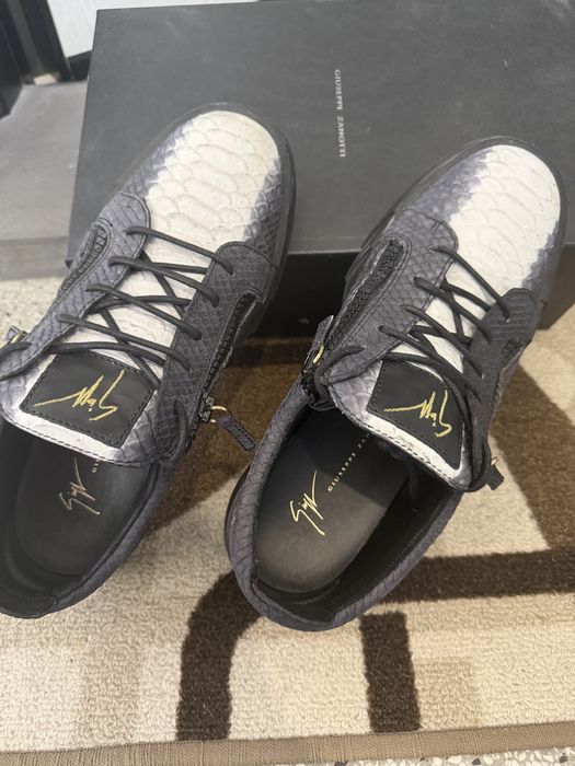 Giuseppe Zanotti